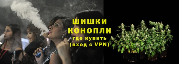 тгк Гусь-Хрустальный