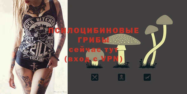 каннабис Гусев