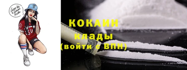 тгк Гусь-Хрустальный