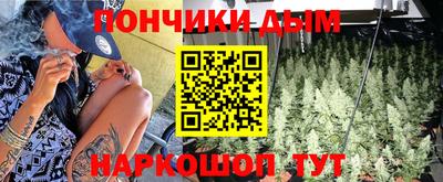 индика Кандалакша