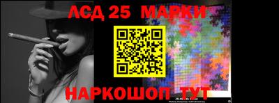 индика Кандалакша
