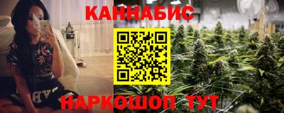 индика Кандалакша