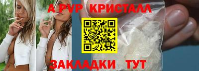 индика Кандалакша