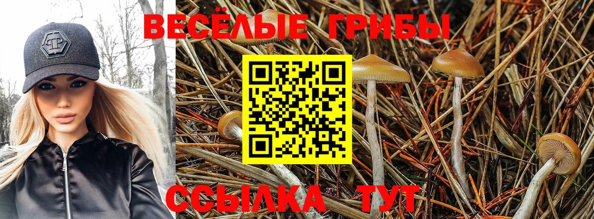 Псилоцибиновые грибы MAGIC MUSHROOMS Иркутск